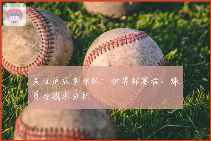 关注厄瓜多尔队:世界杯赛程、球员与战术分析