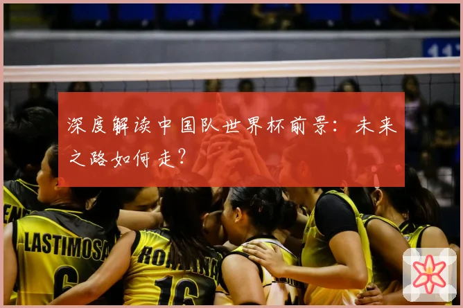 深度解读中国队世界杯前景：未来之路如何走？